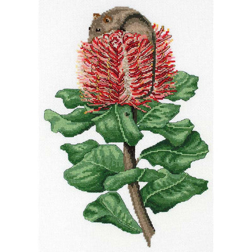20cm x 30cm Honey Possum & Scarlet Banksia Tapestry Kit