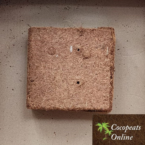 5 Blocks of 900g Coco Peat - 4.5kg