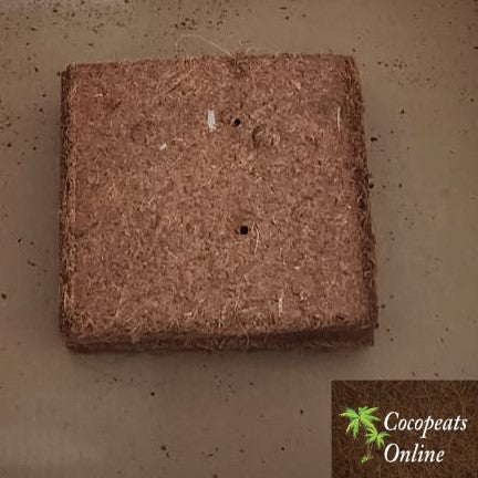 5 Blocks of 900g Coco Peat - 4.5kg