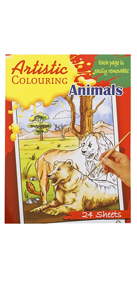 Artistic Kids Colouring Book (available in 2 varieties)