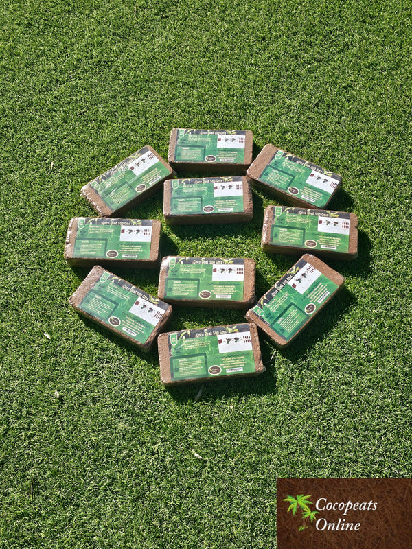 500gm pack of 10 Blocks (5kg) Cocopeat Blocks