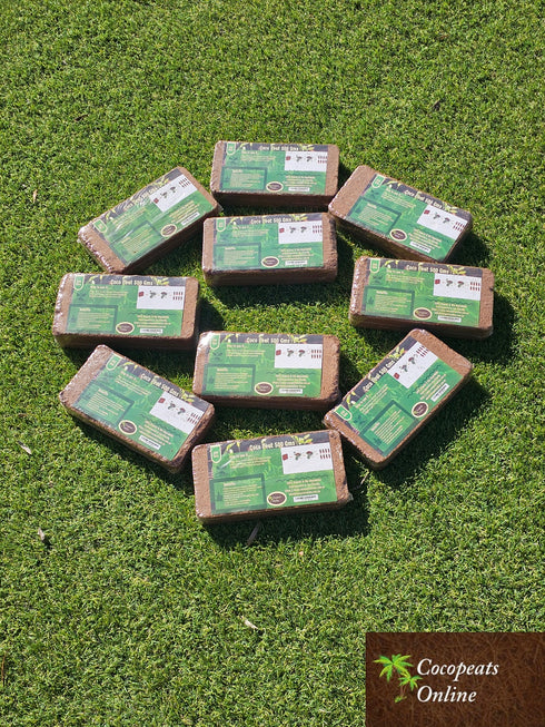 500gm pack of 10 Blocks (5kg) Cocopeat Blocks