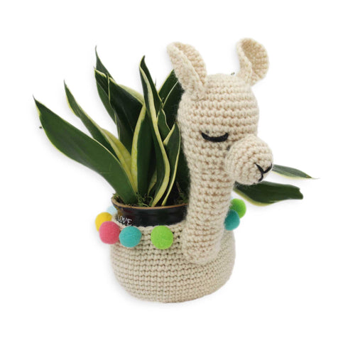 Create your Own Llama Plant Holder Crochet Kit