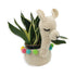 Create your Own Llama Plant Holder Crochet Kit