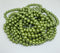 Green Colour Bulk Pack Pearl Beads