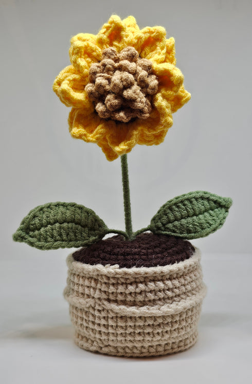 Handmade Crochet Sunflower in Pot