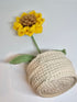 Handmade Crochet Sunflower in Pot