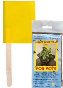 Insect Glue Traps for Pots