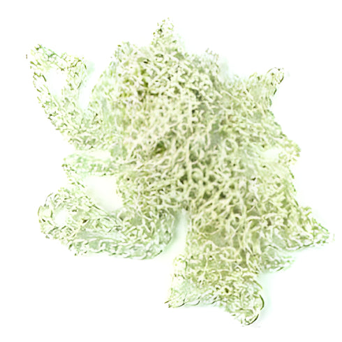 Silver Colour Thick Chain