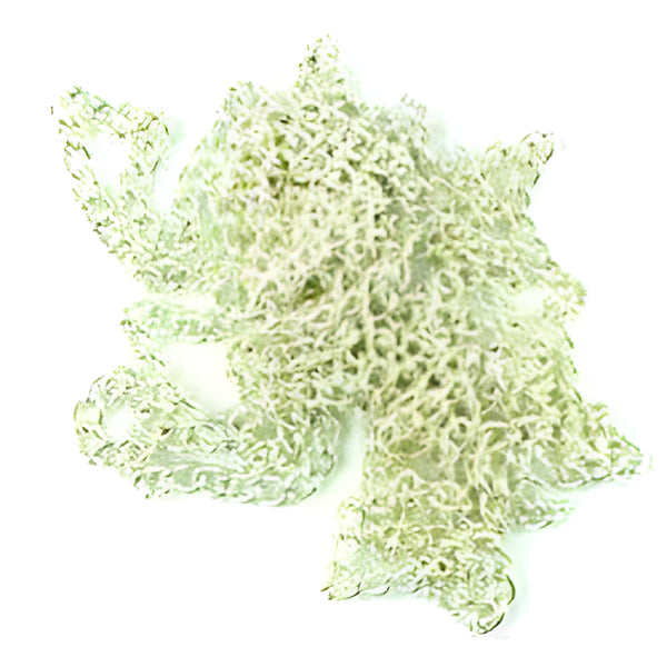 Silver Colour Thick Chain