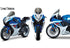 Windscreens for Suzuki GSXR 600 (2011-2025)
