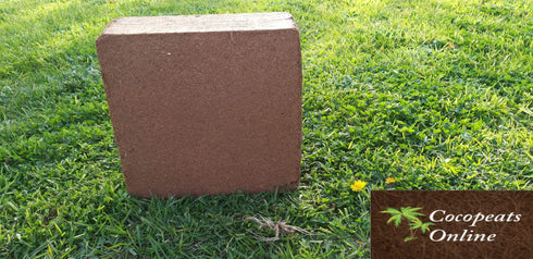 AussieSuperStore Homeware Supplies 5 Kg Coir Pith or Coco Peat Low EC Blocks (in 3 sizes) Coir Pith or Coco Peat Low EC Blocks | Cocopeat Coir Pith Block | Coco Coir Block COPEL5K COPEL5K