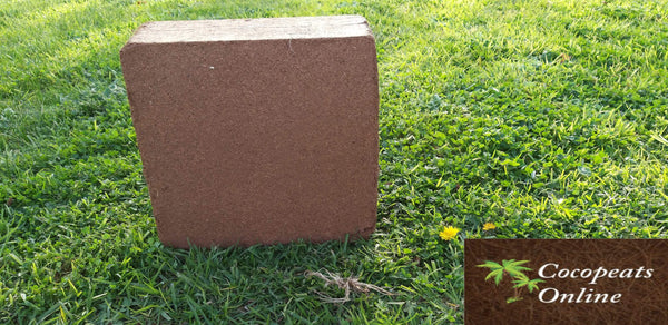 AussieSuperStore Homeware Supplies 5 Kg Coir Pith or Coco Peat Low EC Blocks (in 3 sizes) Coir Pith or Coco Peat Low EC Blocks | Cocopeat Coir Pith Block | Coco Coir Block COPEL5K COPEL5K