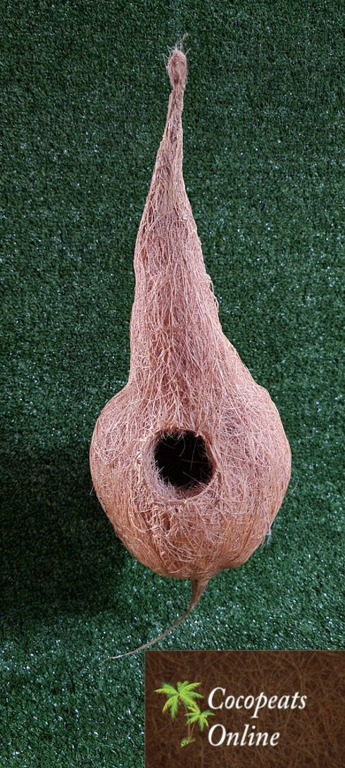 Cocopeats Online Bird Nest Coir Bird Nest Medium