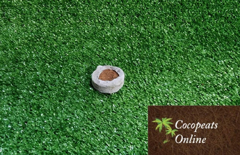 Cocopeats Online Coco peat pellets Coir Pellets 32 mm