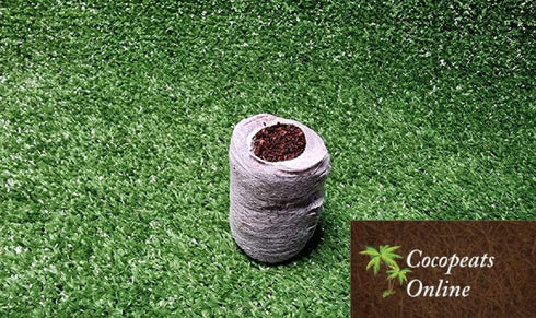 Cocopeats Online coco peat pellets Coir Pellets 38mm
