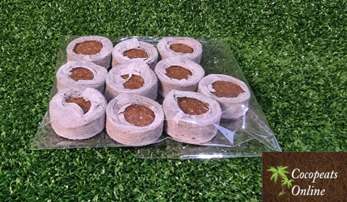 Cocopeats Online coco peat pellets Coir Pellets 38mm