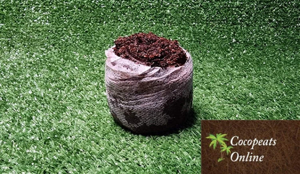 Cocopeats Online Coco Peat Pellets Coir Pellets 60mm