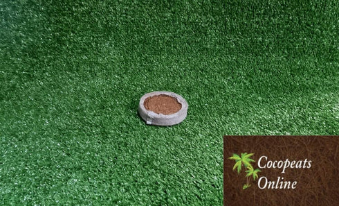 Cocopeats Online Coco Peat Pellets Coir Pellets 60mm