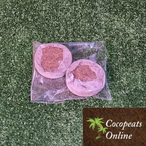 Cocopeats Online Coco Peat Pellets Coir Pellets 60mm