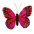 11.5cm x 9cm Feather Butterfly (available in 3 colours)