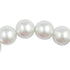 14mm Round Glass Pearl Beads (available in 4 colours)