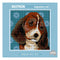 15cm x 15cm Beagle Dog Tapestry Kit
