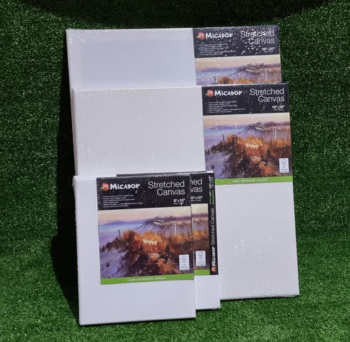 10inch x 10inch Micador Stretched Canvas