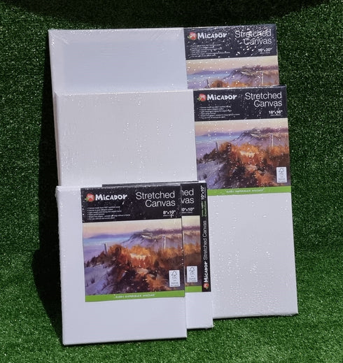 8inch x 10inch Micador Stretched Canvas