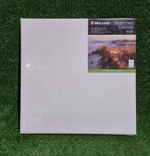 16inch x 16inch Micador Stretched Canvas