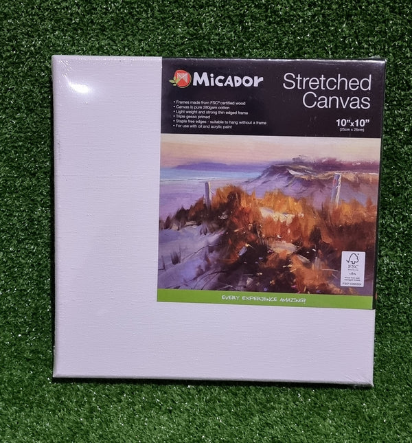10inch x 10inch Micador Stretched Canvas