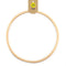 25cm Rattan Hoop