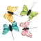 3cm X 4cm Assorted Feather Butterfly