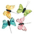 3cm X 4cm Assorted Feather Butterfly