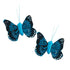 4cm Feather Butterfly (available in 6 colours)