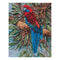 50cm x 60cm Crimson Rosellas Tapestry