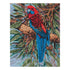 50cm x 60cm Crimson Rosellas Tapestry