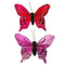 9.5cm x 7cm Purple & Pink Feather Butterfly