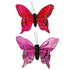9.5cm x 7cm Purple & Pink Feather Butterfly