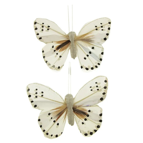 9cm x 6cm Craft Butterfly (available in 4 colour)