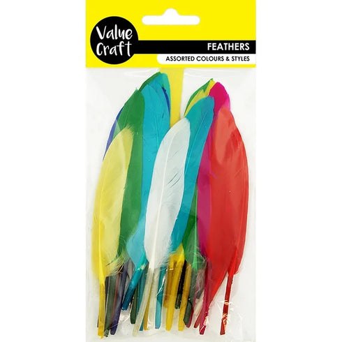 Assorted Bright Colours Craft Feathers