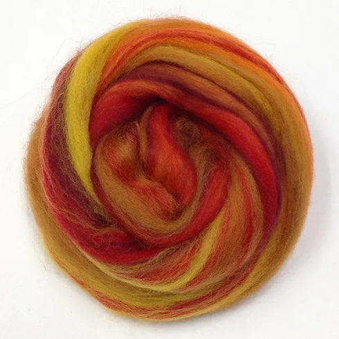 80g Autumn Colour Merino Wool Roving