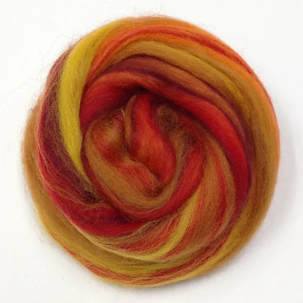 80g Autumn Colour Merino Wool Roving