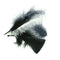 Black/White/Grey Craft Feathers