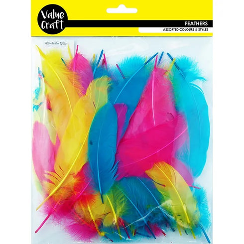 Bright Colours Goose Craft Feathers