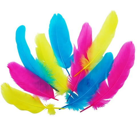 Bright Colours Goose Craft Feathers