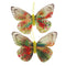 Butterfly with Printed Wing (available in 2 colours)