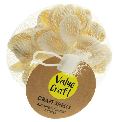 Craft Plain Clam Sea Shells