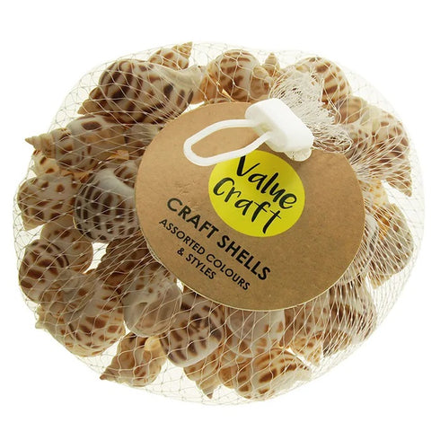 Craft Snail Shape Sea Shells