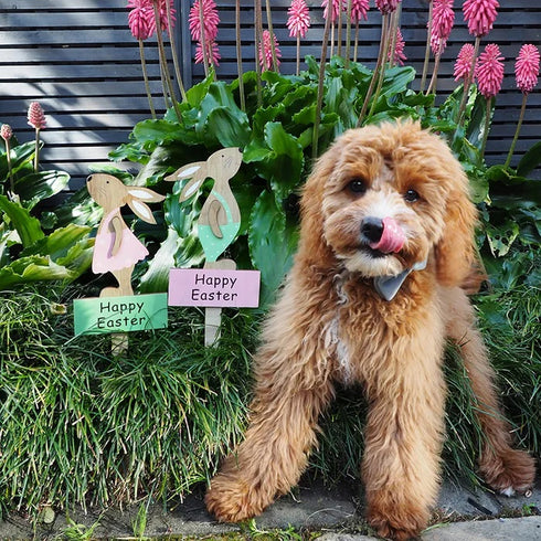 Easter Wooden Decoration Girl Bunny Pick